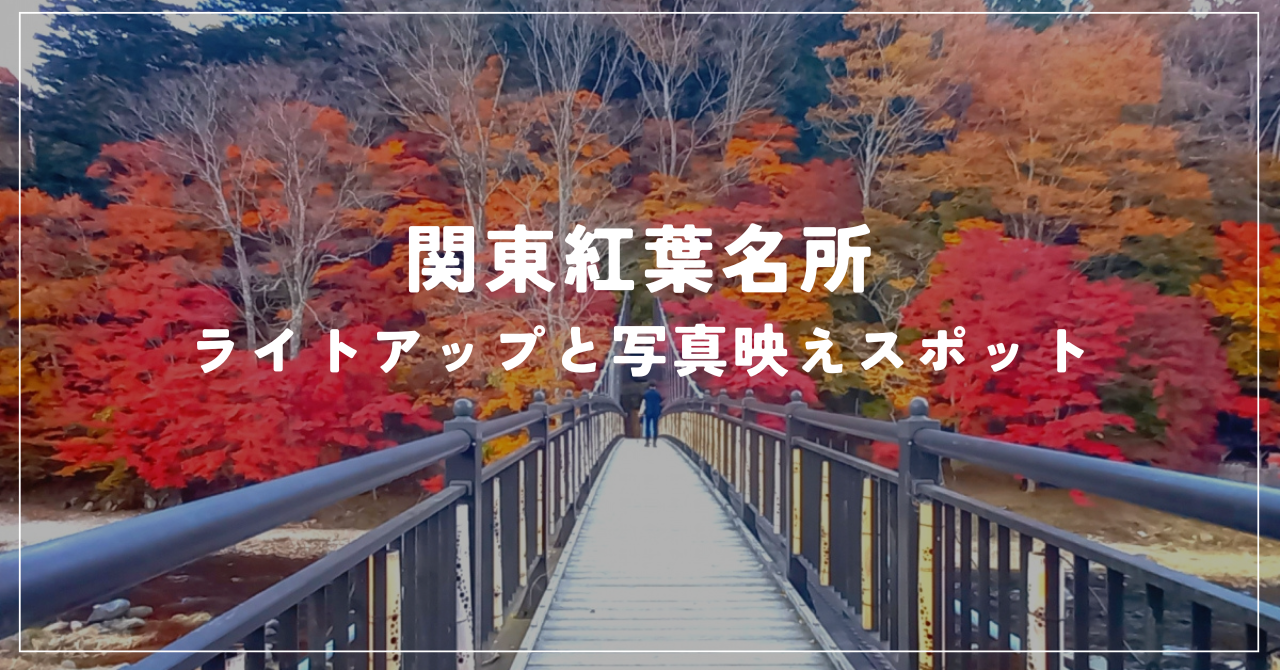 関東紅葉名所 ライトアップと写真映えスポット