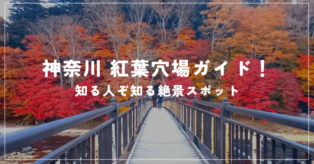 神奈川 紅葉穴場ガイド 知る人ぞ知る絶景スポット