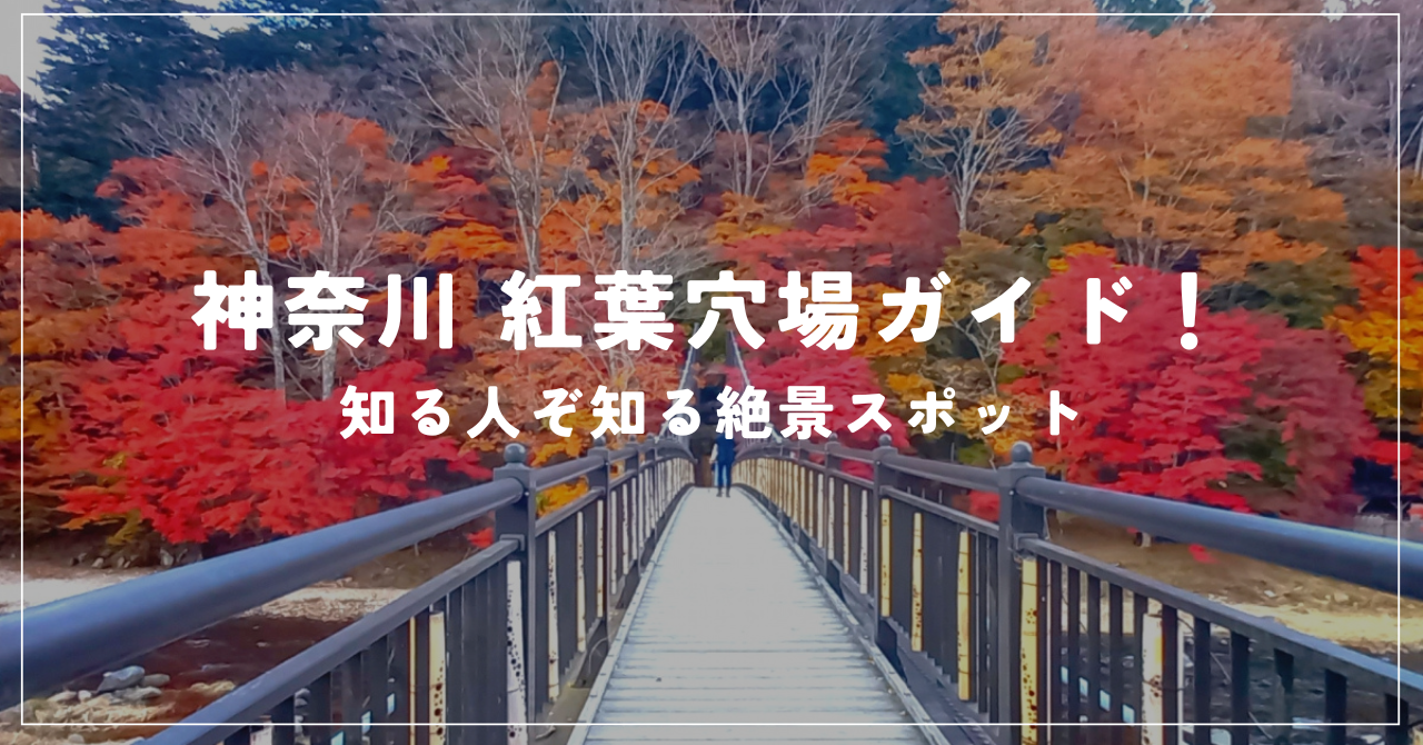 神奈川 紅葉穴場ガイド 知る人ぞ知る絶景スポット