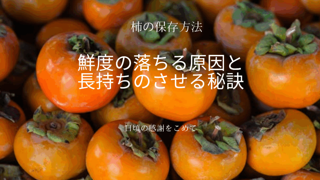 柿の保存方法で悩まない!鮮度を保ち長持ちさせる秘訣を徹底解説