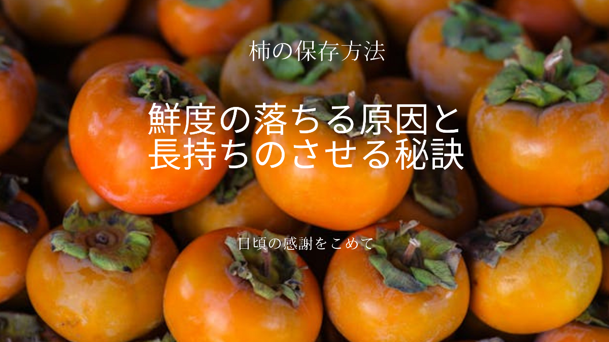 柿の保存方法で悩まない！鮮度を保ち長持ちさせる秘訣を徹底解説