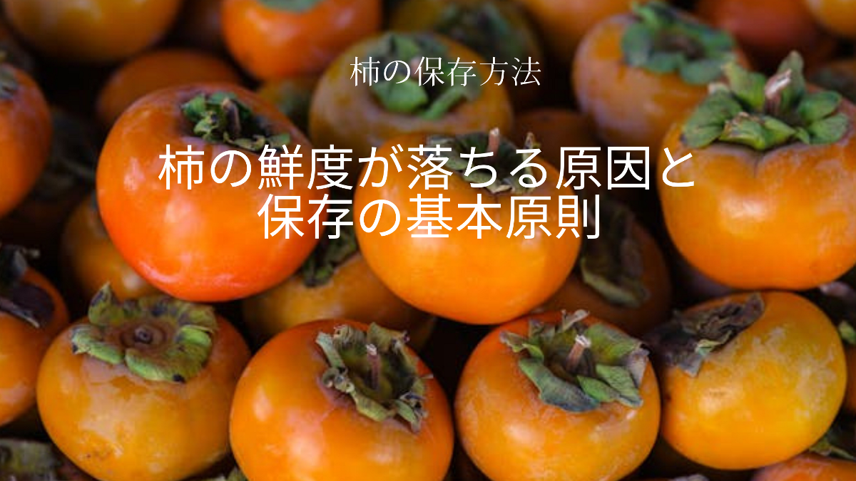 【柿の保存方法】シャキッと長持ち！鮮度キープのコツ
