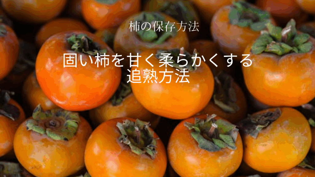H2 柿の保存 固い柿を甘く柔らかくする追熟方法