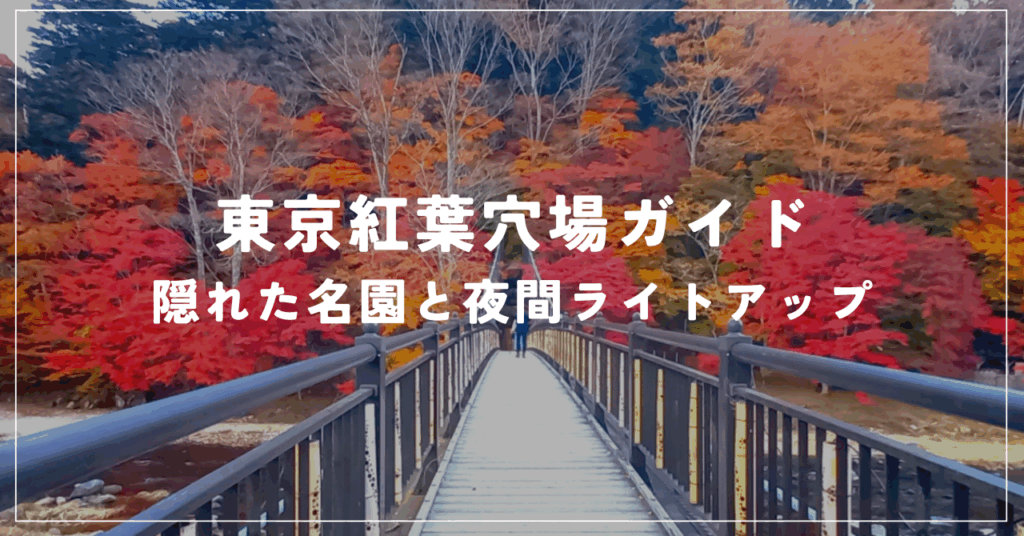 東京紅葉穴場ガイド 隠れた名園と夜間ライトアップ