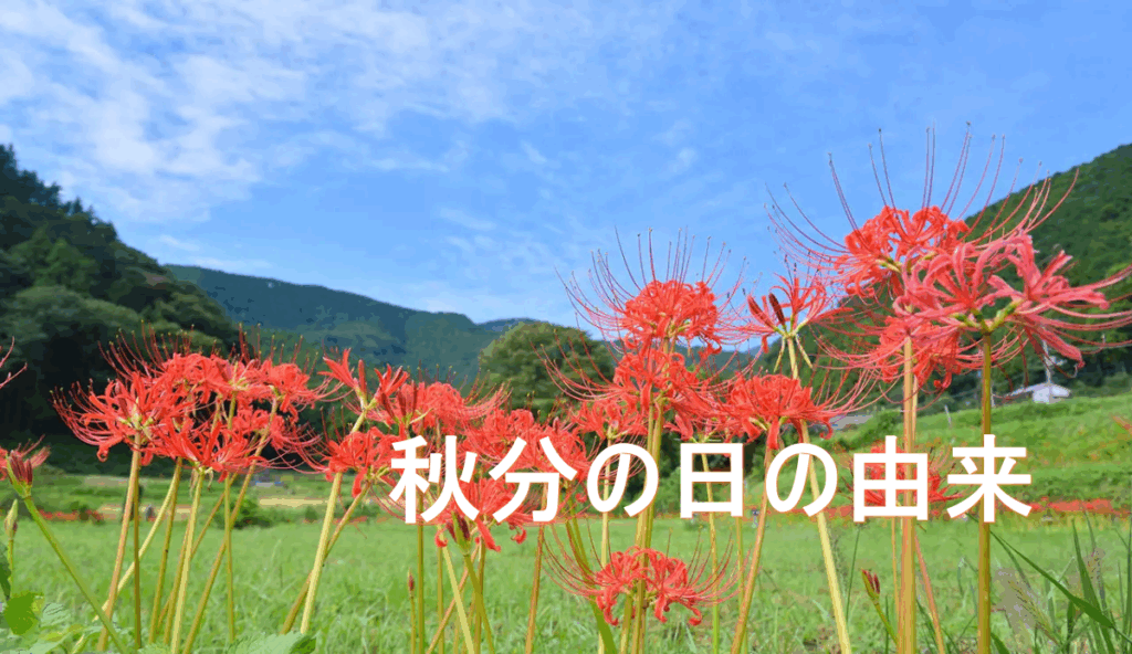 秋分の日の由来が丸わかり!意味とお彼岸を徹底解説