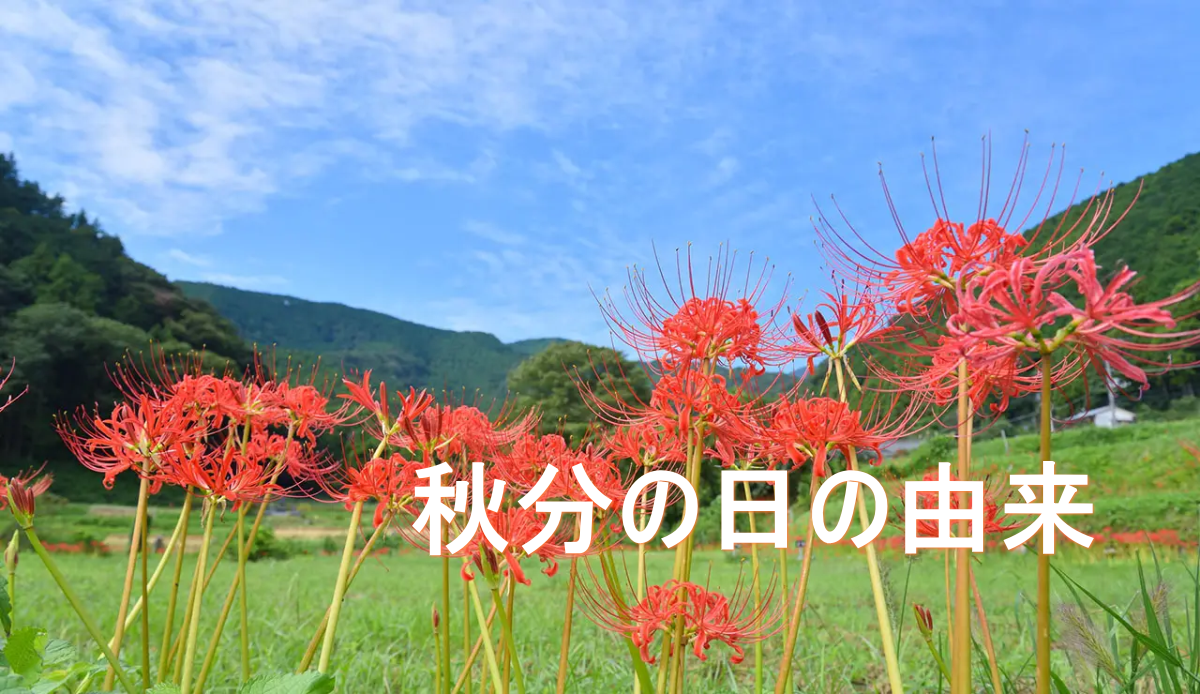 秋分の日の由来が丸わかり！意味とお彼岸を徹底解説