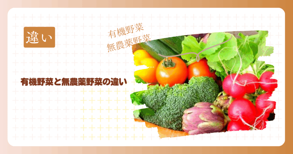 有機野菜と無農薬野菜の違いを徹底解説！選び方も