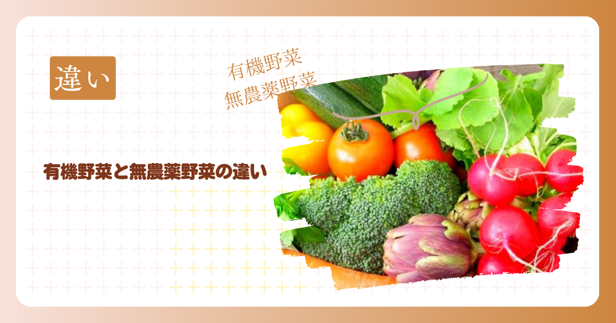 有機野菜と無農薬野菜の違い