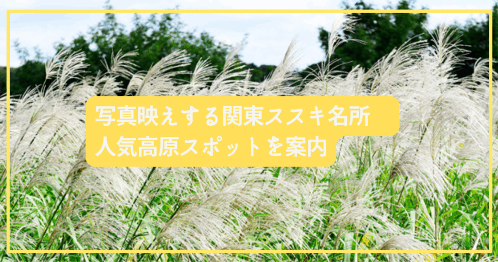 写真映えする関東ススキ名所