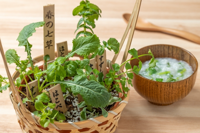 七草粥はなぜ食べる
